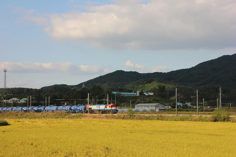 Transfert de domaine : le processus détaillé